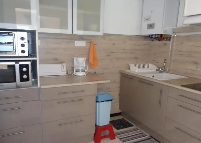 Lägenhet F1 Avec Terrasse Et Garage, Proche Cures Et Centre-ville D'amelie-les-bains. - Fr-1-703-73